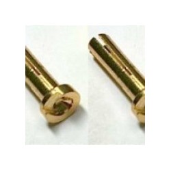Vampire Racing High Current Gold Plug Male - 4/5mm graded (2 pcs)