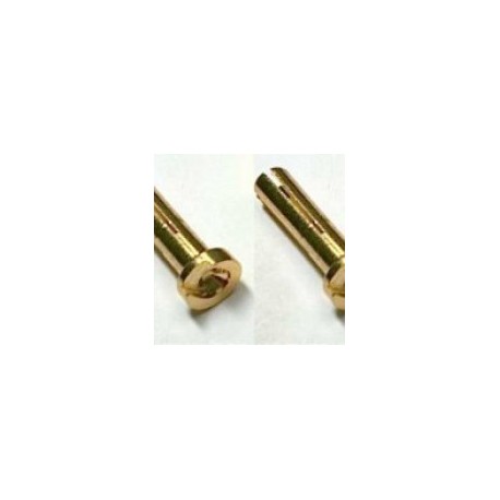 Vampire Racing High Current Gold Plug Male -5mm graded (2 pcs)